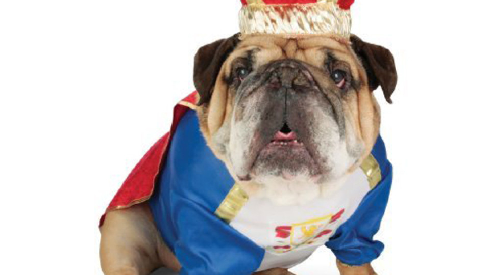 zelda-canine-king-halloween-dog-costume-1