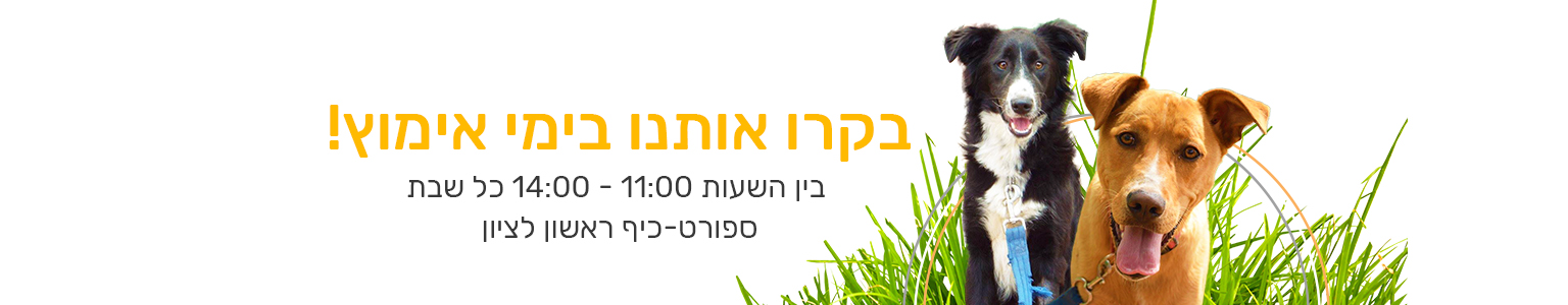 rla-slider-homepage-ADOPT1